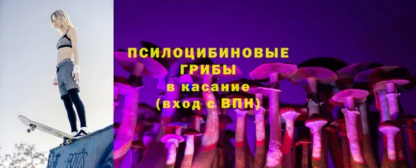 тгк Богданович